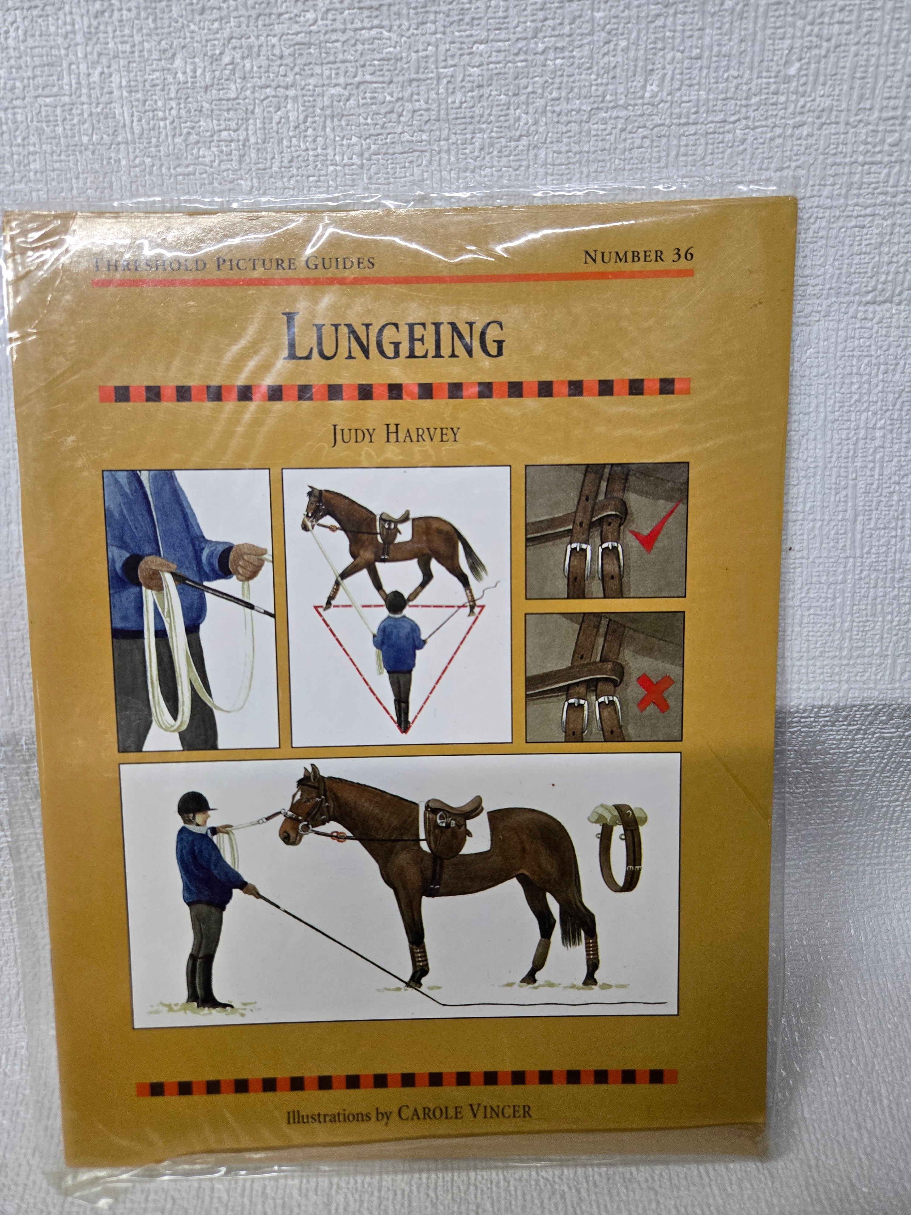 S-Lang tack shop 香港馬具店